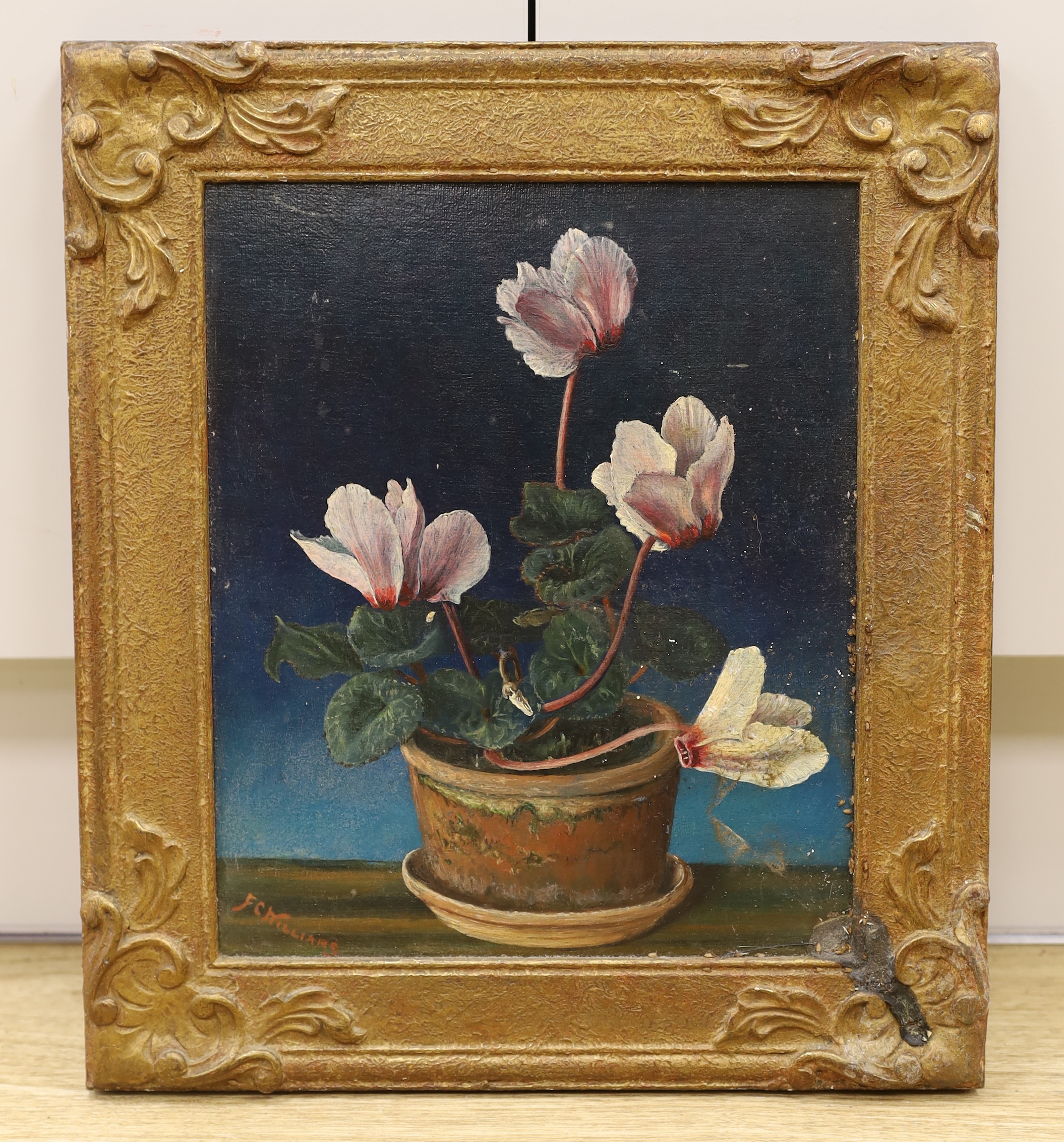 F.C. Williams (20th. C), oil on canvas board, Still life of Cyclamen, signed, 29 x 24cm